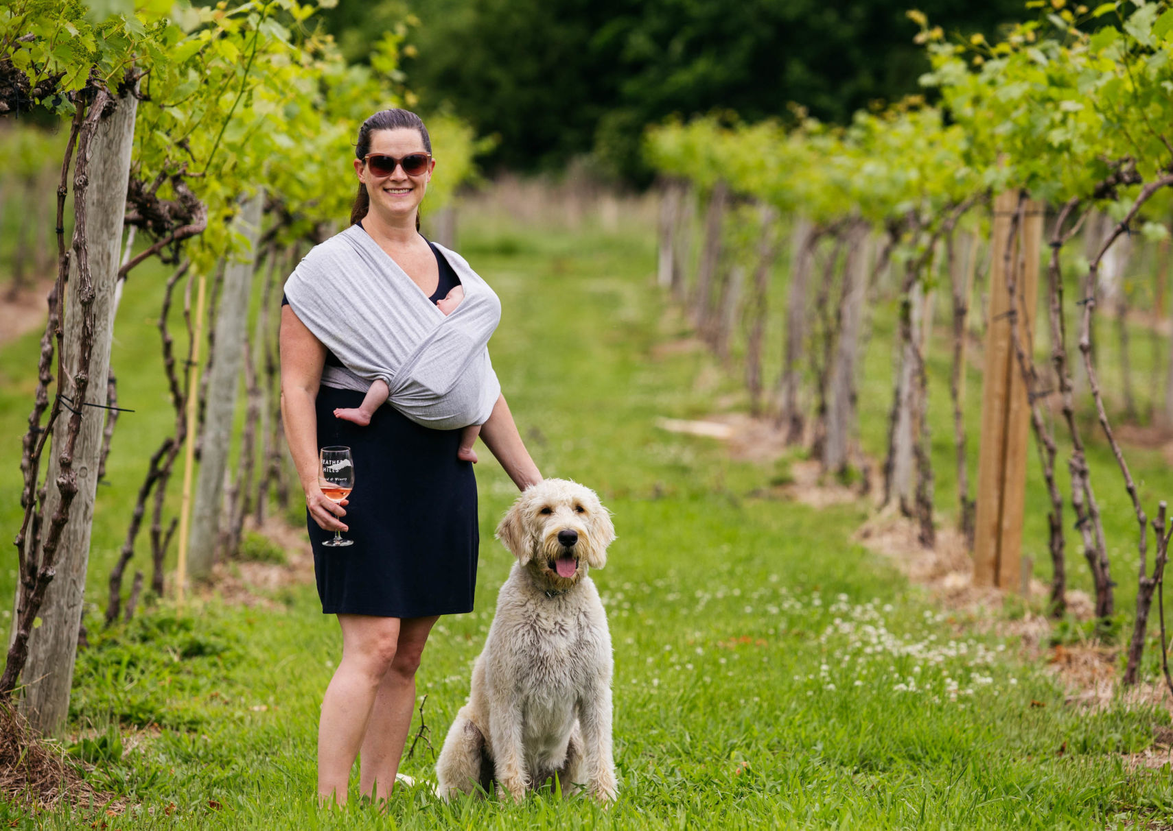 Wineries reopen after coronavirus shutdown